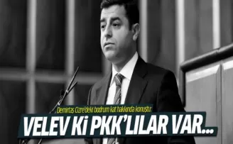 Demirtaş'tan bodrum kattaki PKK'lılarla ilgili açıklama