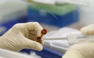 Denizli'de domuz gribi can aldı