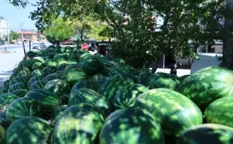 Denizli’de üreticinin imdadına Başkan Çavuşoğlu yetişti