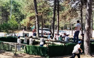 Devlet korumasında 2.240 çocuk yararlandı