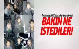 Diyarbakır'da teslim olan PKK'lılar askerlere yalvardı!