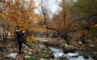 Doğu Akdeniz'de sonbahar renkleri