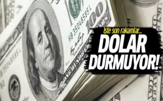 Dolar Durmuyor! İşte Son Rakamlar