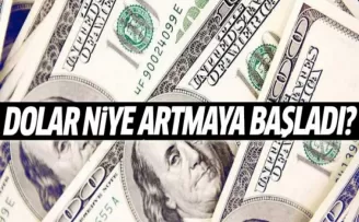 Dolar Niye Artmaya Başladı?
