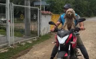 Düzce’de bir an olsun sahibi yalnız bırakmayan köpek gülümsetti