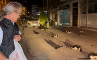 Düzce’de kendini kedilere adadı!