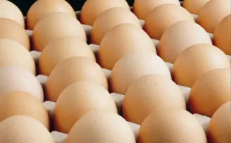 Ediz Ün: Yumurta üretimi son 8 yılın dibine vurdu