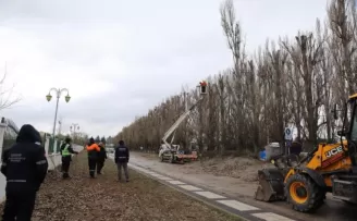 Ekolojik ömrünü tamamlayan kavaklar yerini çınarlara bırakıyor