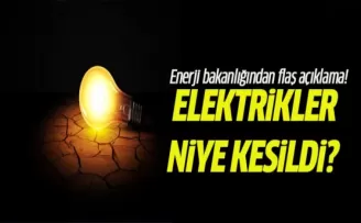 Elektrikler niye kesildi?Enerji Bakanlığı'ndan yeni açıklama