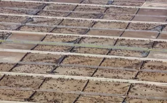 Endüstriyel hayvancılık küresel iklim hedeflerini tehdit ediyor