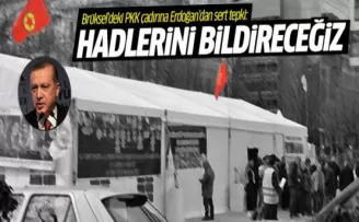 Erdoğan'dan AB'ye PKK çadırıyla ilgili tepki
