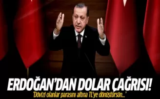 Erdoğan'dan dolar çağrısı