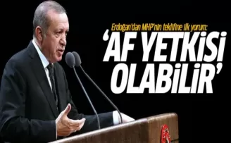 Erdoğan'dan MHP'nin teklifine ilk yorum: Af yetkisi olabilir