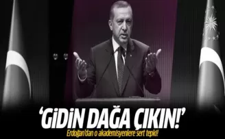 Erdoğan'dan o akademisyenlere sert tepki!