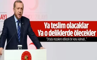 Erdoğan'dan terörle mücadeleye devam mesajı