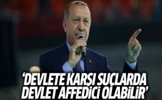 Erdoğan: Devlete Karşı Suçlarda Devlet Affedici Olabilir