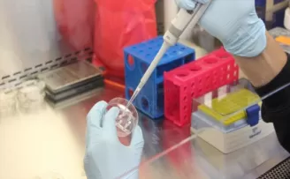 Erkek kısırlık testine Türk damgası