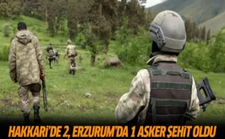 Erzurum ve Hakkari'de terör operasyonu
