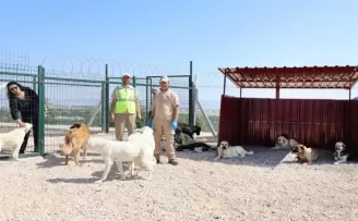 Eskişehir’de doğaya ve can dostlara tam destek