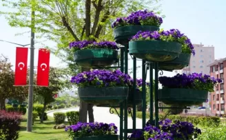 Eskişehir’de refüjler çiçeklerle renklendi