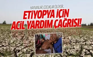 Etiyopya için acil yardım çağrısı!