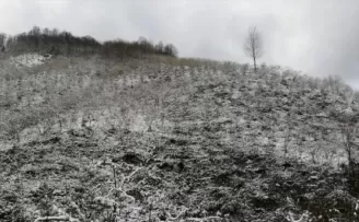 Fındık üreticilerine zirai don uyarısı