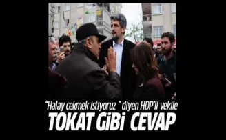 'Halay çekmek istiyoruz' diyen HDP'li vekile tokat gibi cevap
