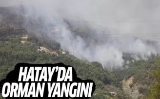 Hatay'da Orman Yangını