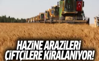 Hazine Arazileri Çiftçilere Kiralanıyor