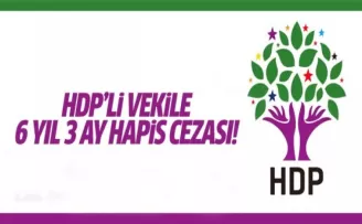 HDP'li vekile hapis cezası!