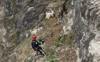 Her can Kocaeli İtfaiyesi’ne emanet