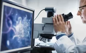 Hizmette en yüksek artış mesleki ve bilimsel oldu