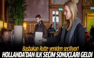 Hollanda'da ilk sonuçlara göre Başbakan Rutte yeniden seçiliyor
