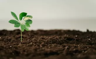 Hollanda ve Türkiye deneyimini birleştiriyor... Türkiye gübrede bölgesel üs oldu