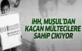 İHH Musul'dan kaçan mültecilere çadır kent kuracak