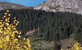 Ilgaz Dağı sonbaharda renk cümbüşü