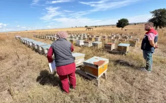 İpsala’da zirai bayi ve arı kovanı denetimleri
