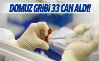 İran'da domuz gribinden 33 kişi hayatını kaybetti