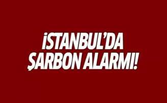 İstanbul'da Şarbon Alarmı: Çok Sayıda Kişi Karantinada