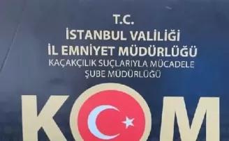 İstanbul’da tarihi eser kaçakçılığı operasyonu! 7 gözaltı