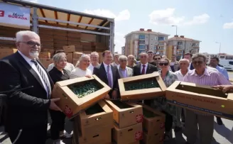 İstanbul’dan çiftçilere 5 yılda 70 milyon fide desteği