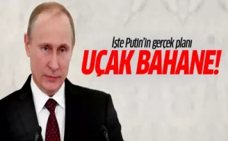 İşte Putin'in Türkiye planı