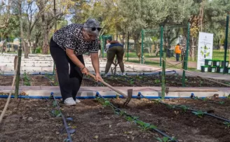 İzmir’de toprakla buluştu, yaşama yeniden tutundu