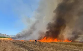 İzmir İtfaiyesi 48 saatte 220 yangına müdahale etti