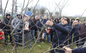 İzmit’te üreticilere uygulamalı budama eğitimi
