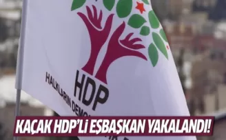 Kaçak HDP’li Eşbaşkan yakalandı!