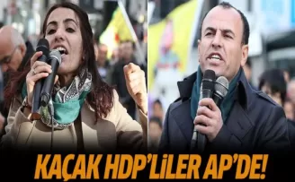 Kaçak HDP'liler AP'de