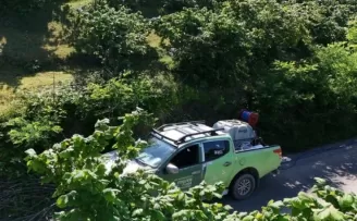 Kahverengi kokarca FINVER bahçelerinde takip altında