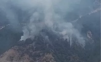 Karabük Yeşilköy’de orman yangını