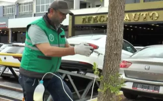 Kayseri Kocasinan’da ağaçlara sıkı koruma